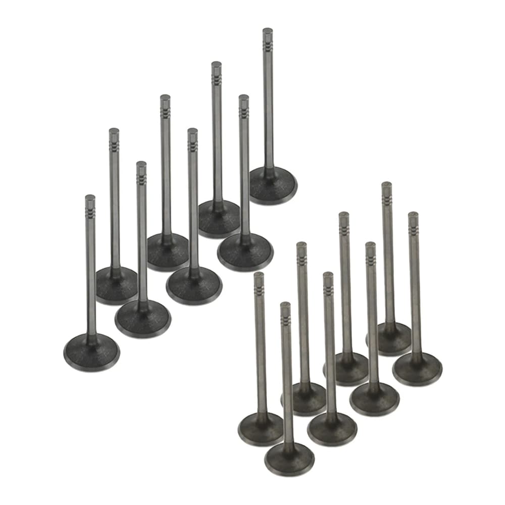 GM 1.4 Intake Exhaust Valve 