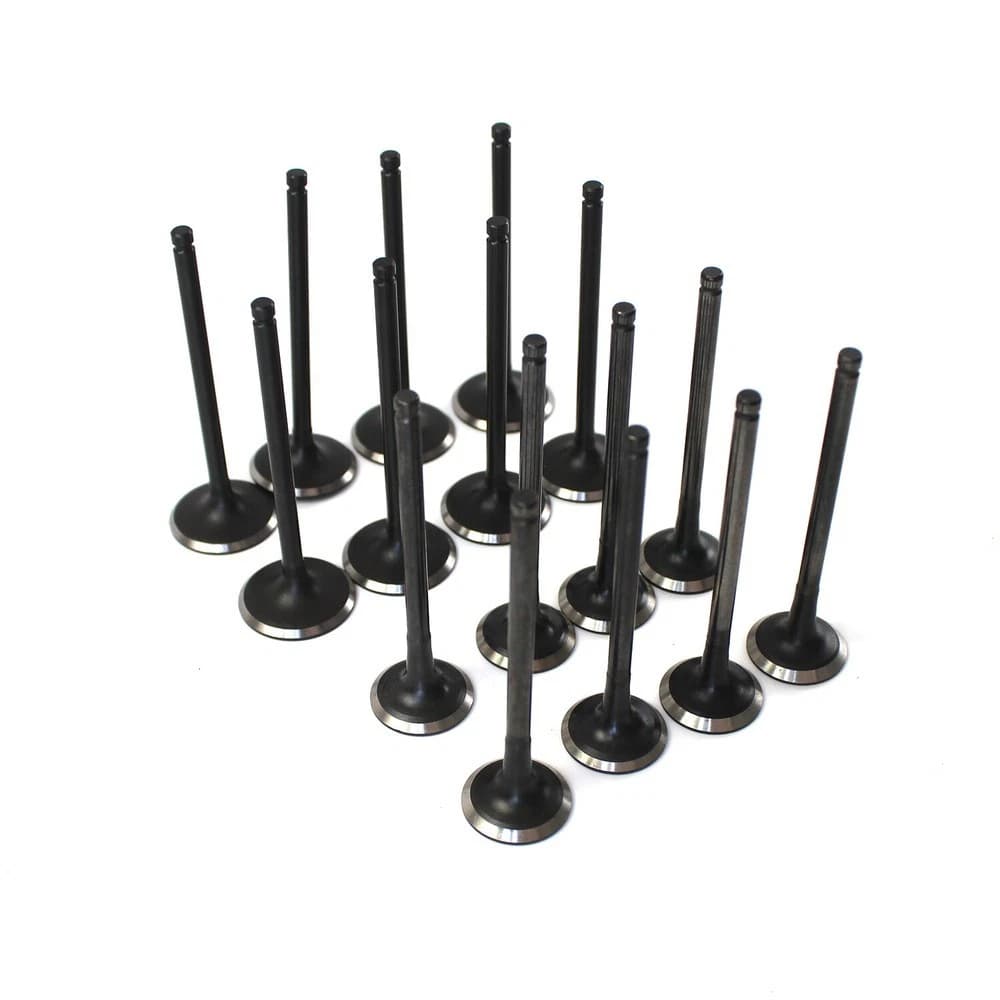 Hyundai 2.0L 12X Intake Valve 12X Exhaust Valve