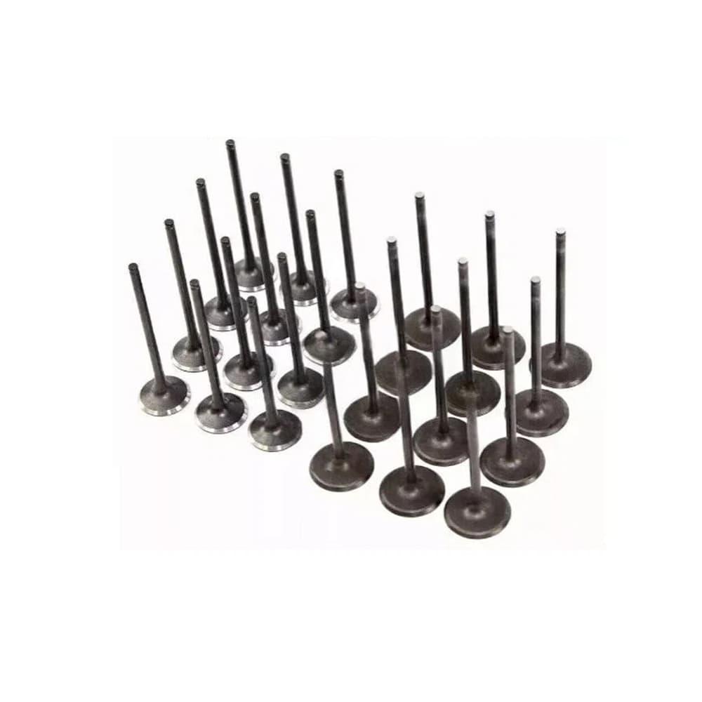 Hyundai 3.8 Intake And Exhaust Valve 
