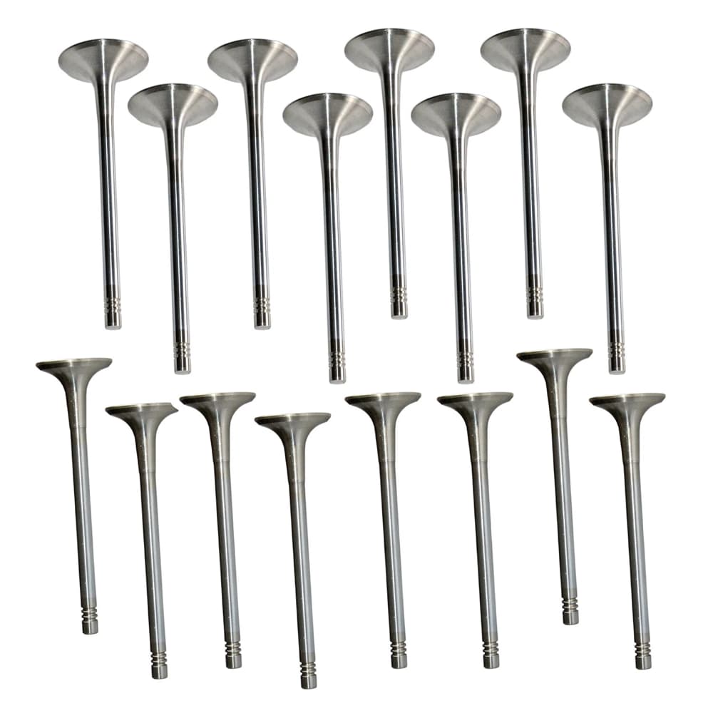 VW 2.0 Intake and Exhaust Valves
