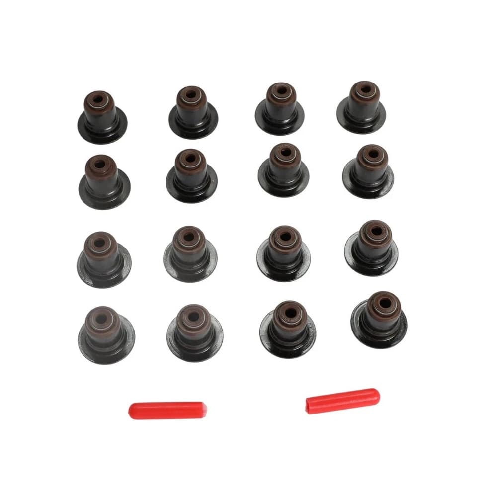Complete kit: timing chain, camshaft, tensioner, guides, water pump and mounting hardware